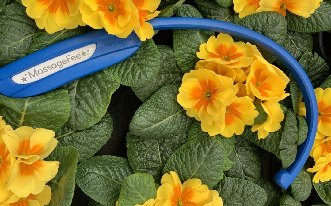 Ungetrübte 🌺🌺 Frühlingsfreude