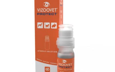 Einführung VIZOOVET Protect – Natürliche Augentropfen für Tiere