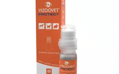 Einführung VIZOOVET Protect – Natürliche Augentropfen für Tiere
